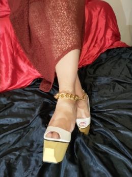 Проститутка Санкт-Петербурга : Тая
 – фото 1